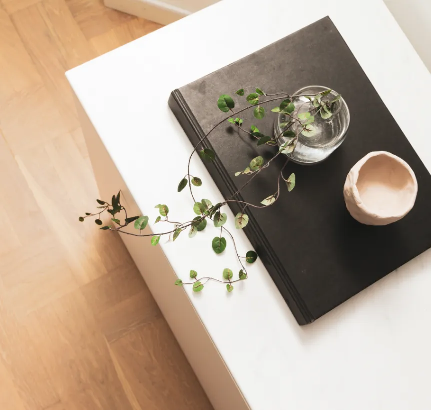 Anti-bacterial Countertop Laminates by Greenlam