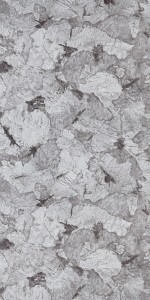 5673 Canyon (CNY) Samsara high pressure laminate sheet by Greenlam