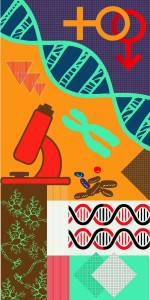 Chromozones Digital Laminate Sheets