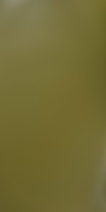 361 Suede (SUD) Golf Green high pressure laminate sheet by Greenlam