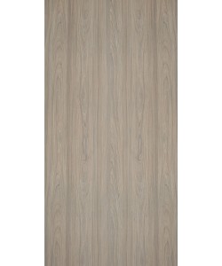 Rosenheim Elm