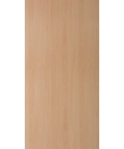 Intal Beech