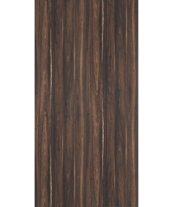 Greenlam Liro Sap Laminates