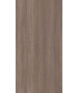 Silver Rovere
