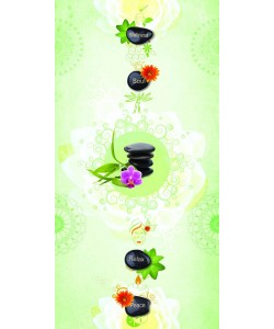 Welness 3 Custom Laminates