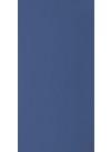 Electric Blue