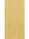 European White Elm