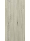 Italian Beech