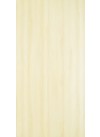 Lucent Elm