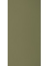 Pine Nut