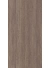 Silver Rovere