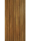 Snuff Elm