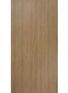 Rovigo Elm